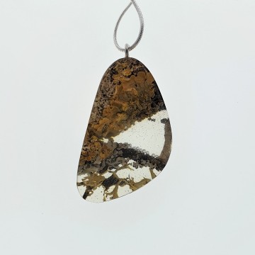 bos medaillon met korstmos.jpg