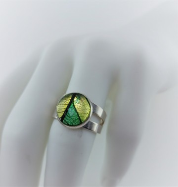 Groen gele bladnerf ring