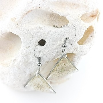 Rvs oorbellen met haak