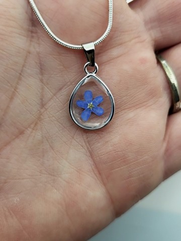 Blauwe vergeet mij nietjes