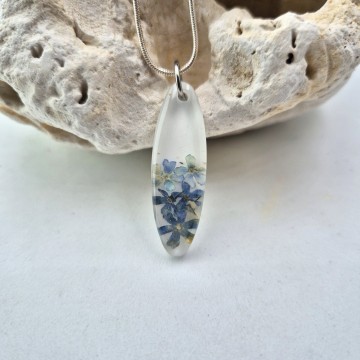 Gedroogde vergeet mij nietjes