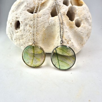 Groen gele blad nerf