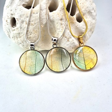 Groen gele blad nerf