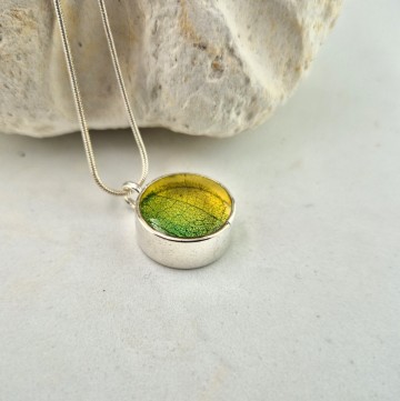 Nerf van een Linde blad