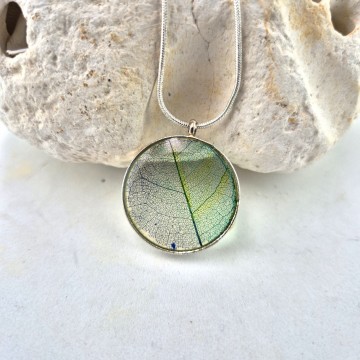 Groen blauwe boomblad hanger