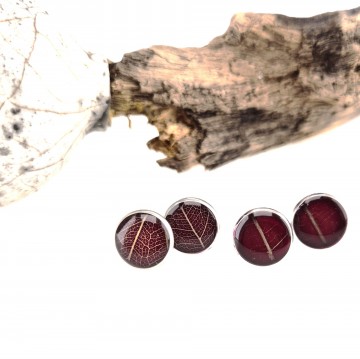 Echte blad oor stekers