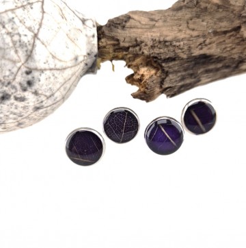 Paarse bladnerf oor knopjes