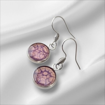 RVS hang oorbellen met haak