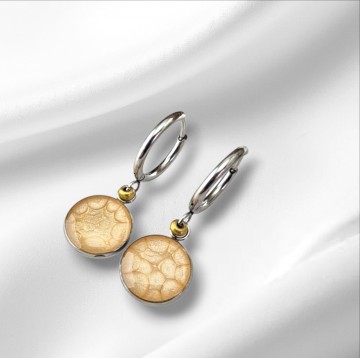 RVS oorbellen met haak of oorring